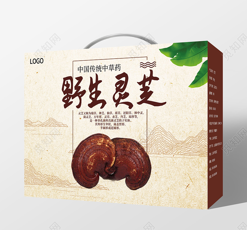 简约大气咖色野生灵芝包装盒保健品包装盒