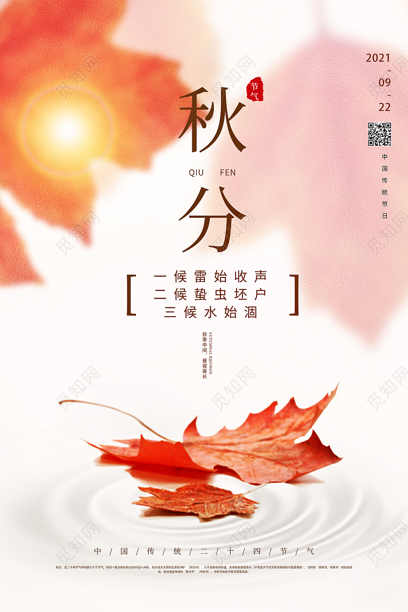 清新简约二十四节气之秋分节气海报