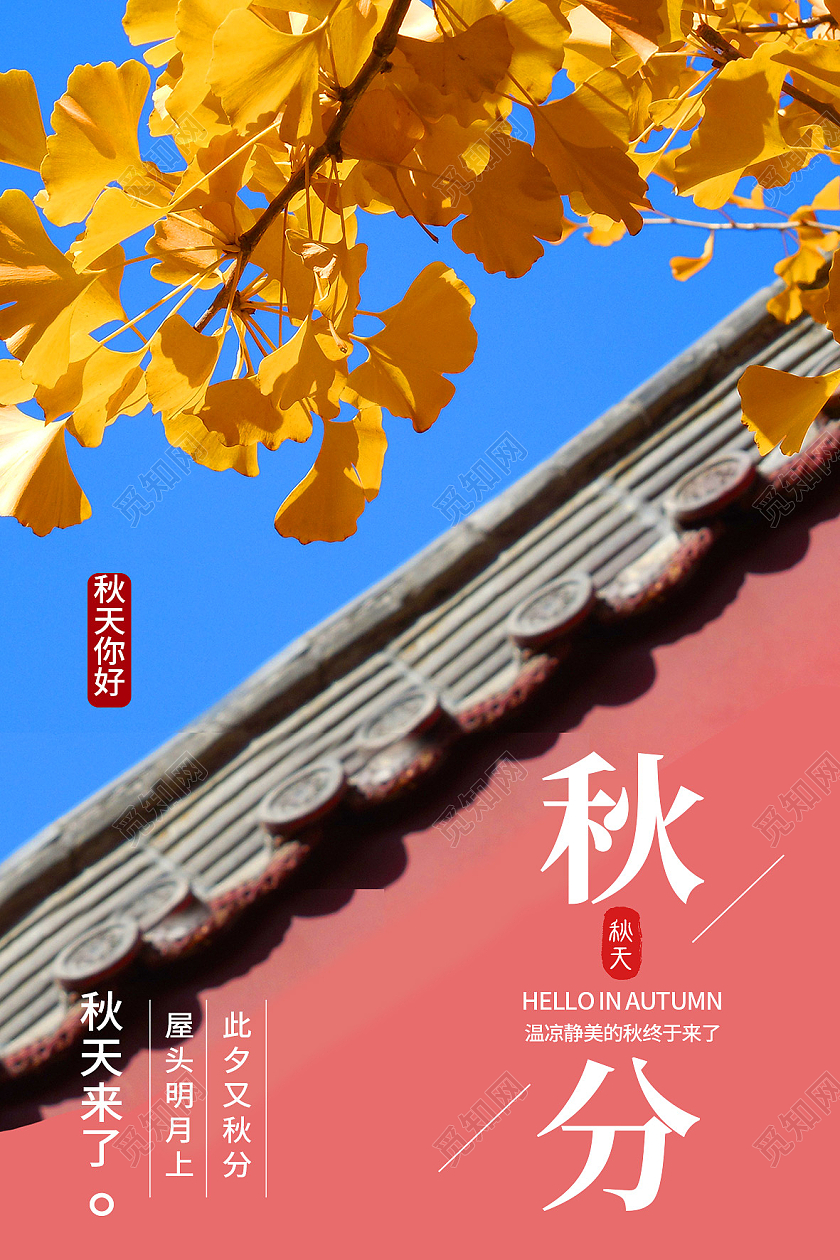 红色实拍秋分二十四节气红墙银杏秋分摄影海报设计