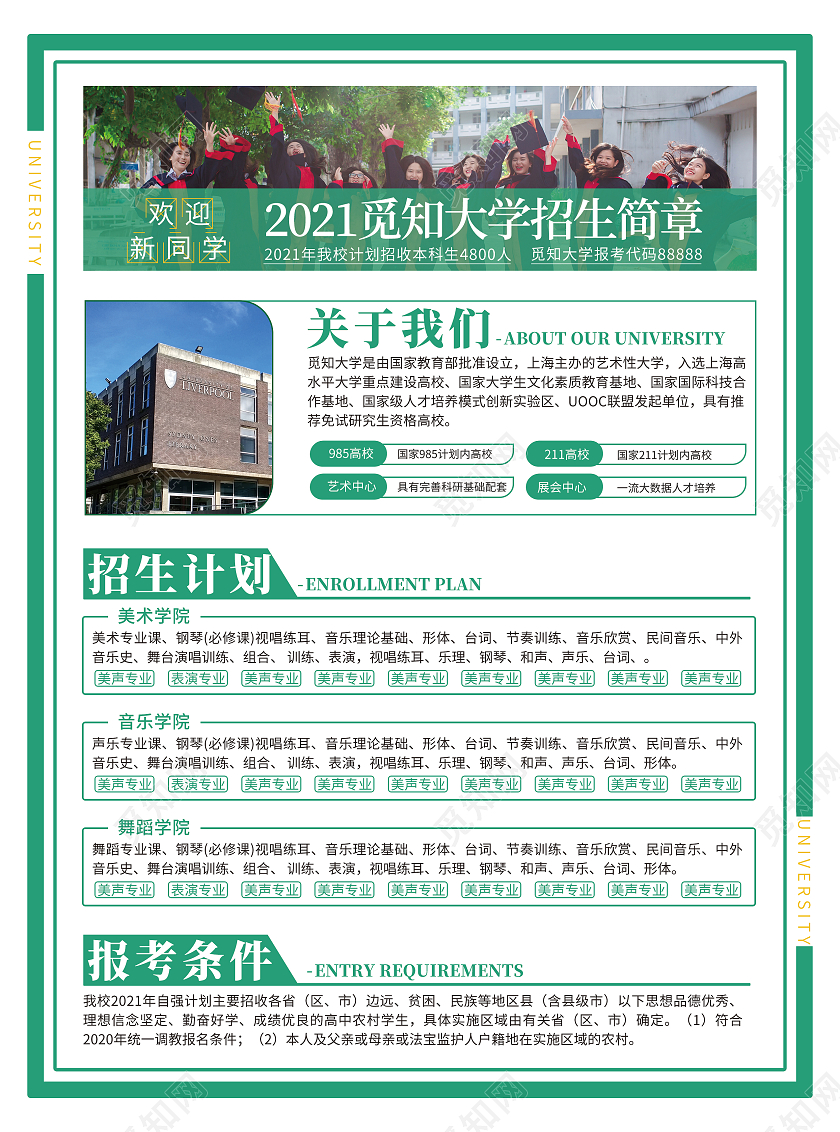 绿色简约2021艺术学院招生简章宣传单