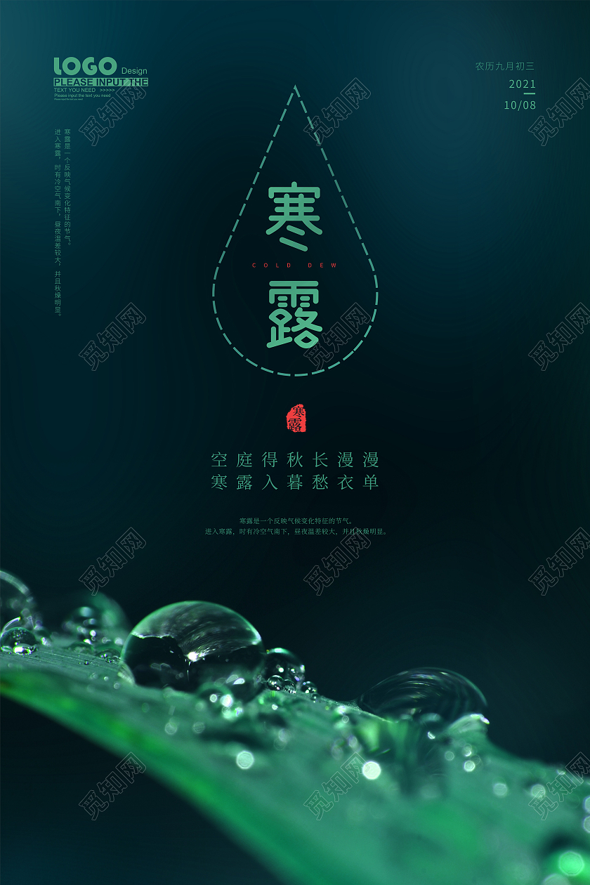 蓝色大气摄影风寒露节气宣传海报
