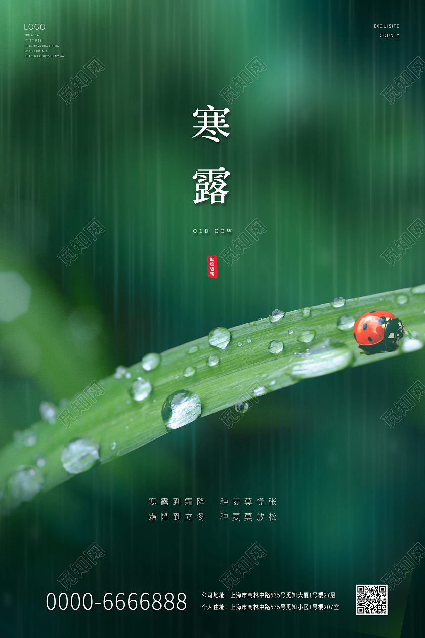 绿色中国风绿色植物中国传统节气露水雨水宣传海报寒露