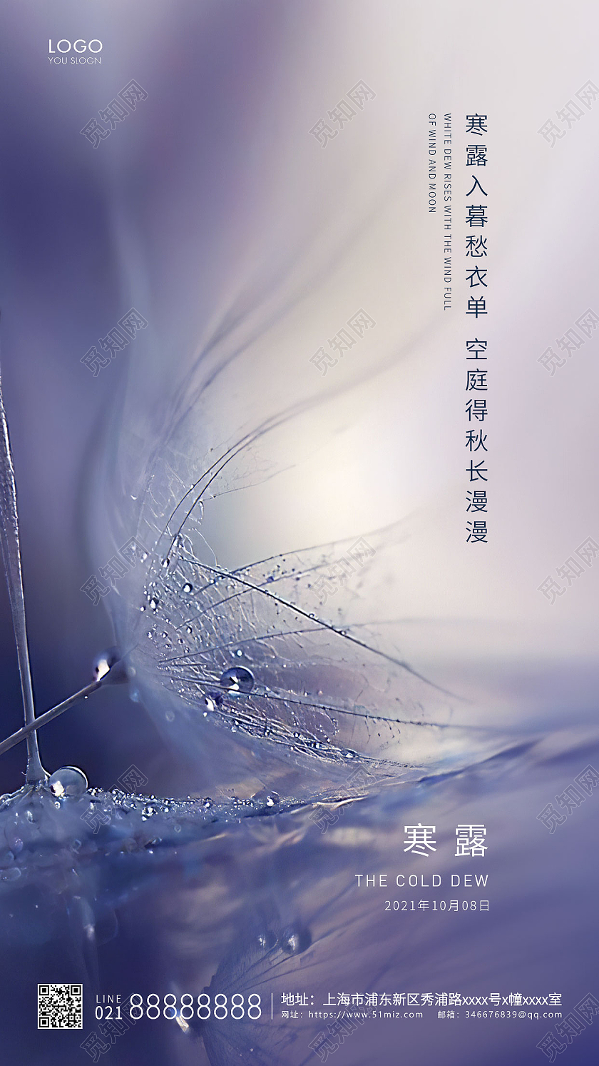 紫色简约二十四节气寒露节气宣传ui手机海报