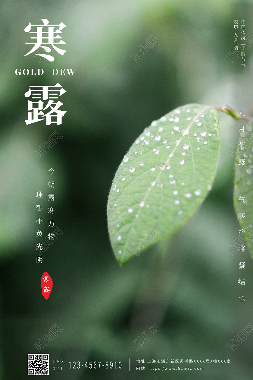 绿色简约清新传统二十四节气寒露海报设计