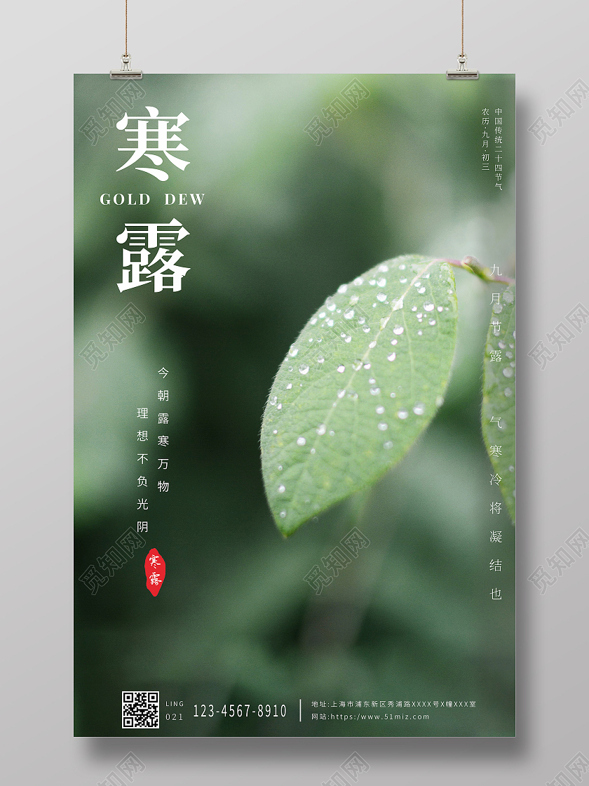 绿色简约清新传统二十四节气寒露海报设计