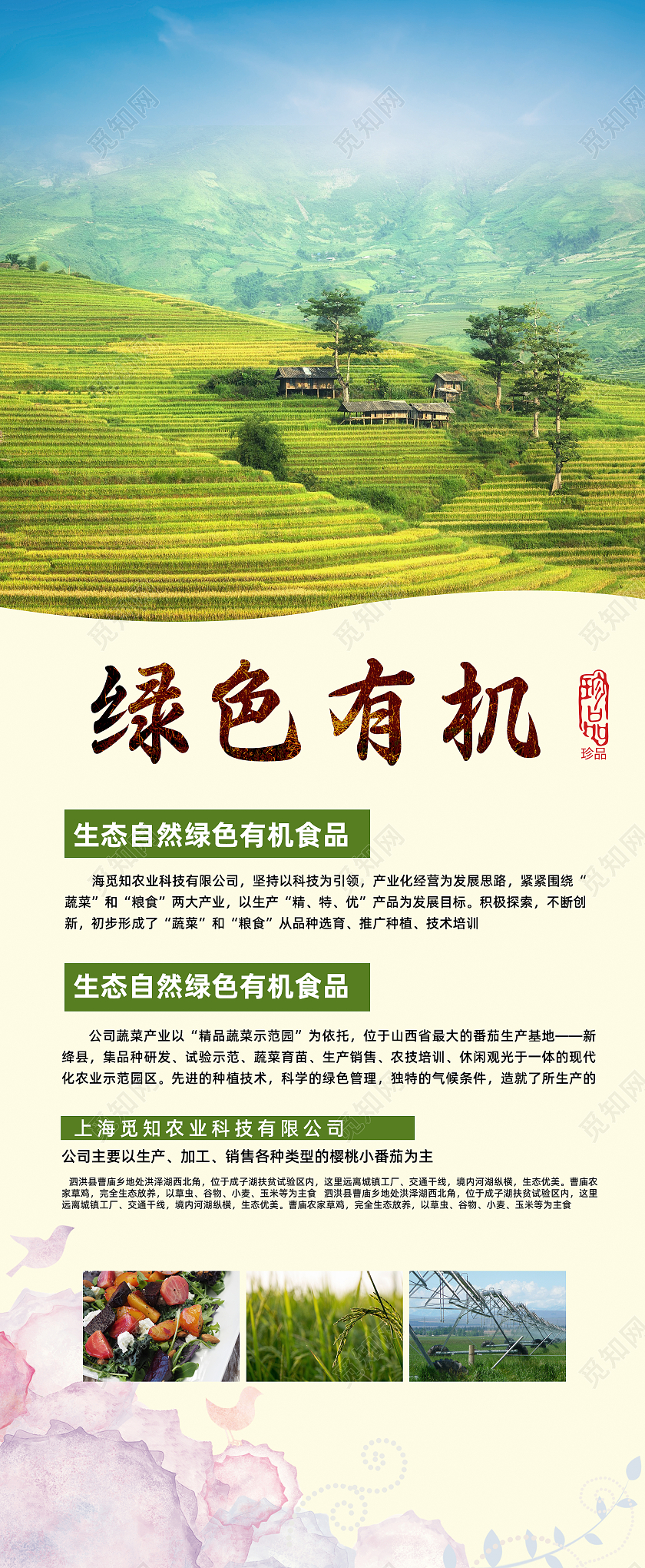 绿色简约创意摄影图绿色有机农业展架