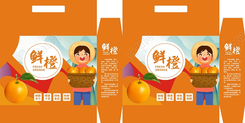 橙色手绘卡通风鲜橙新鲜橙子包装