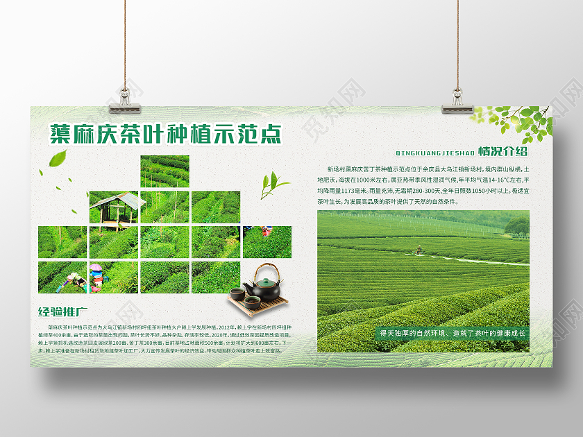 绿色简约清新大气蕖麻庆茶叶种植示范点农业种植展板设计