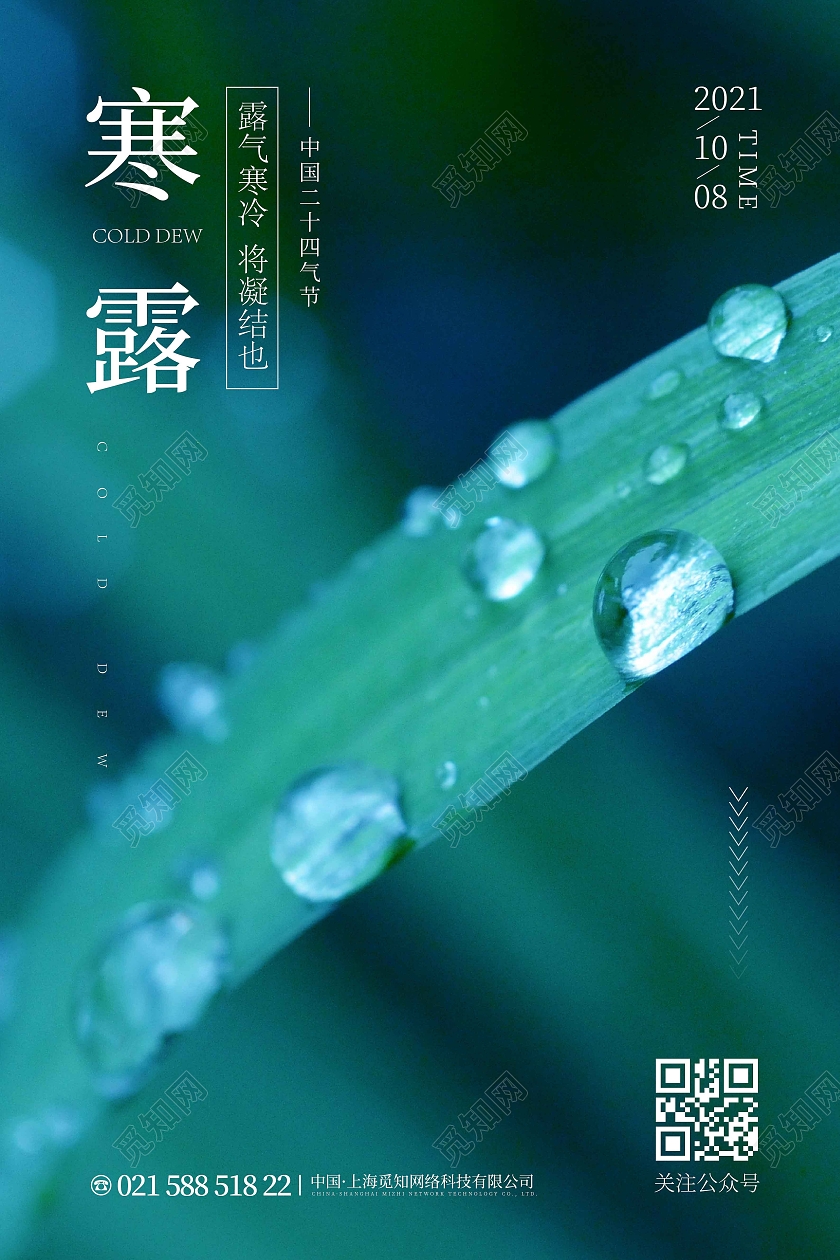 绿色时尚大气简约寒露宣传广告海报寒露