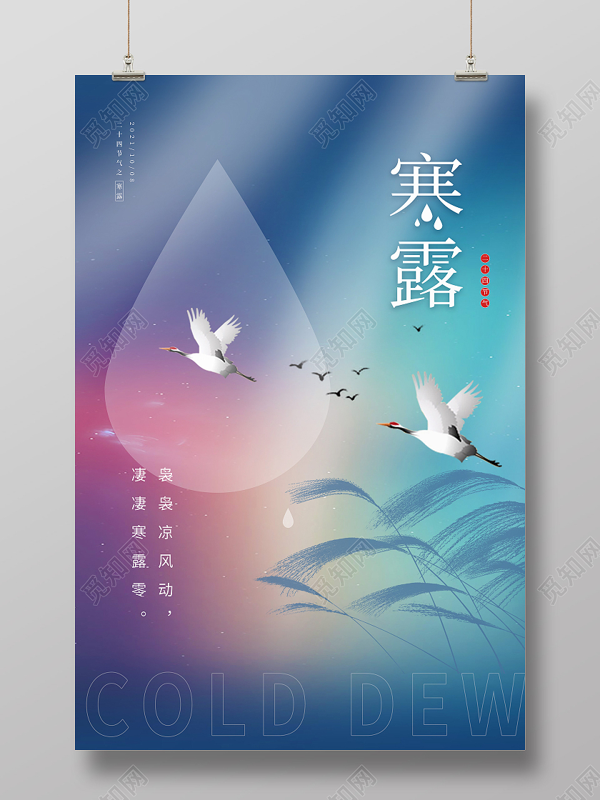 青紫色渐变芦苇白鹭寒露节气海报