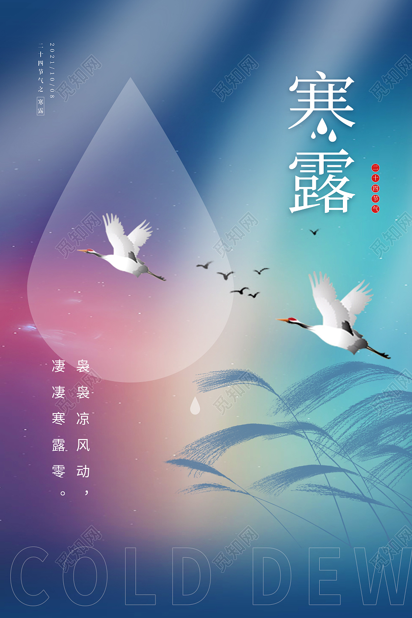 青紫色渐变芦苇白鹭寒露节气海报