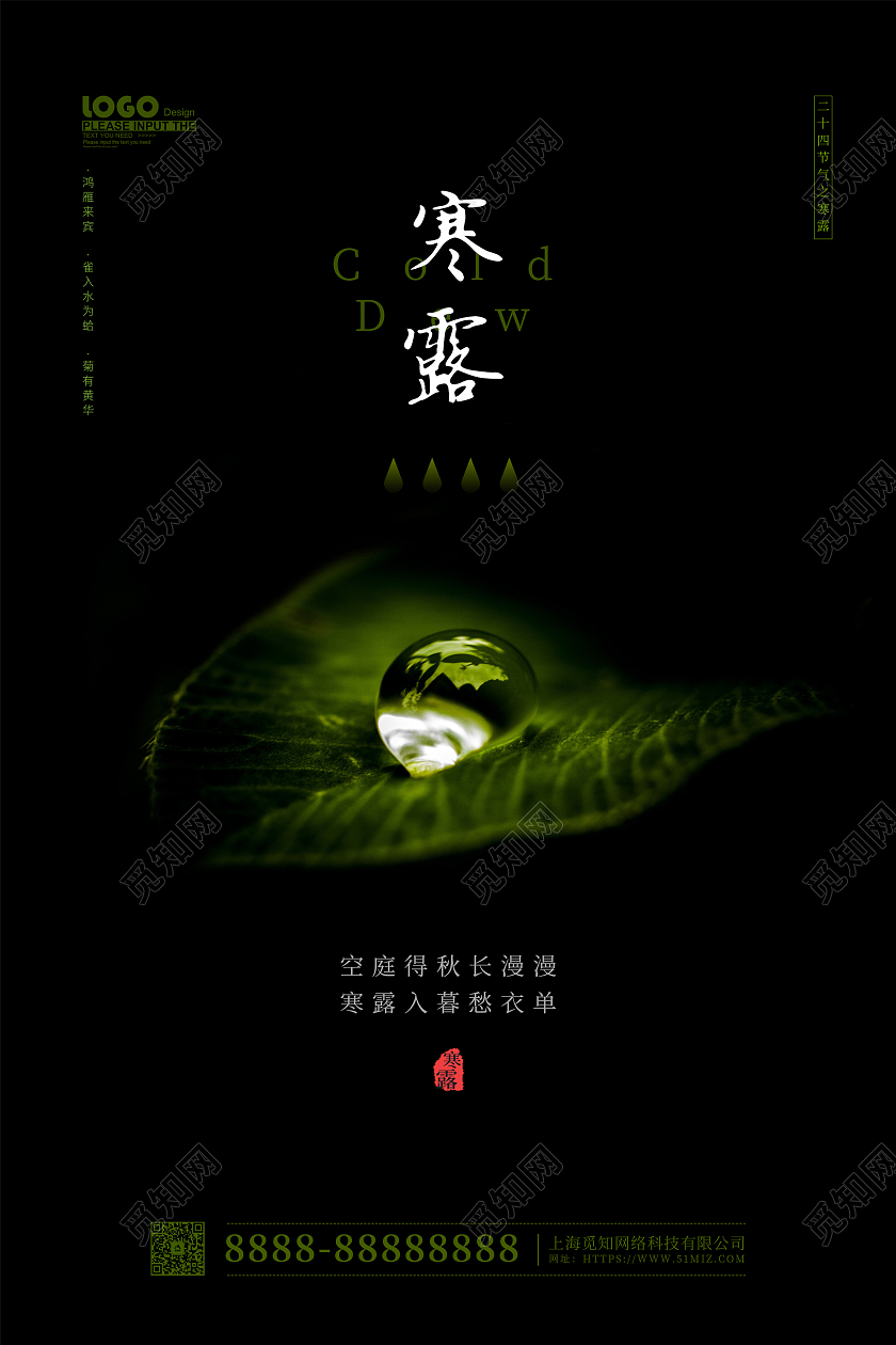 黑色大气摄影风寒露传统节气宣传海报