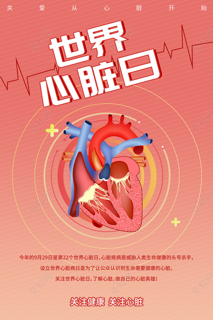 红色世界心脏日简约海报关爱心脏平面广告心脏