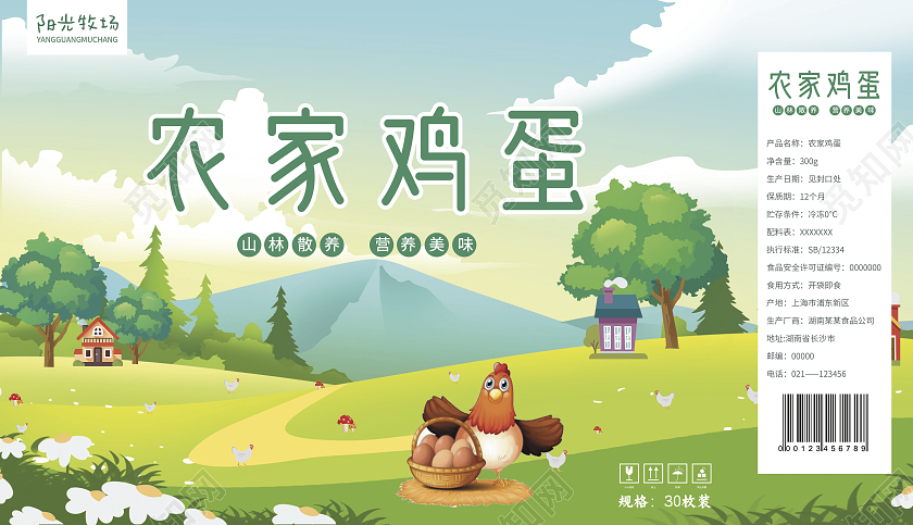 蓝绿色简约大气插画卡通风农家鸡蛋鸡蛋包装盒