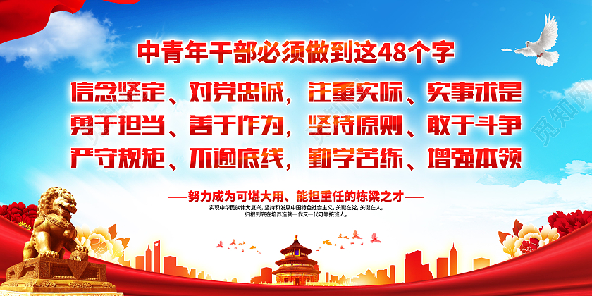 红色大气简约风格中青年干部48字新要求展板