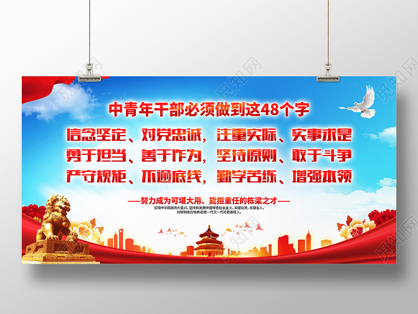 红色大气简约风格中青年干部48字新要求展板
