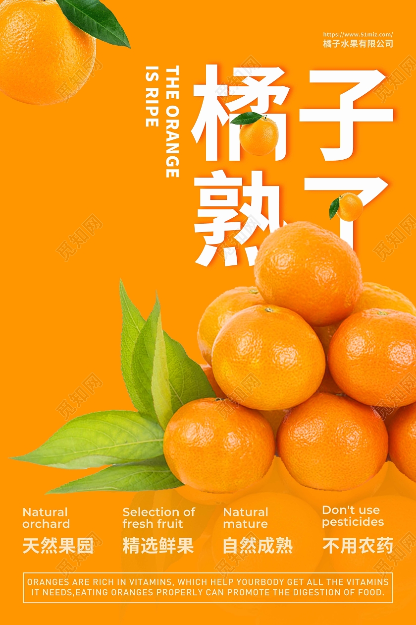 橘色暖调橘子熟了促销通知水果海报橙子海报