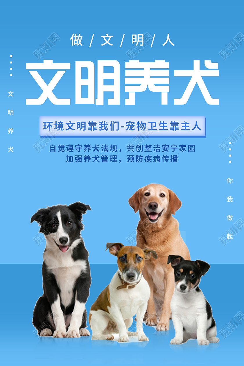 蓝色简约文明养犬做文明人宣传海报