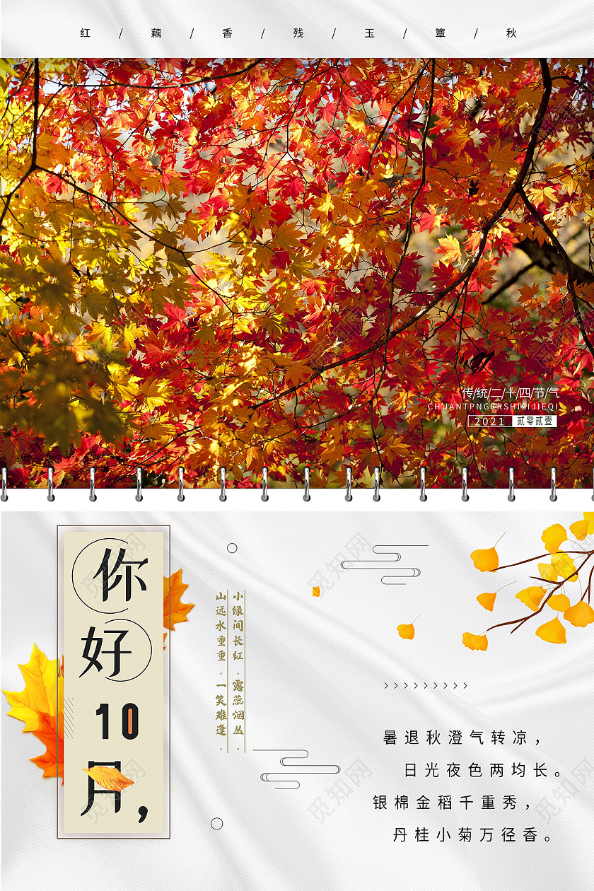 白色简约你好10月10月你好海报