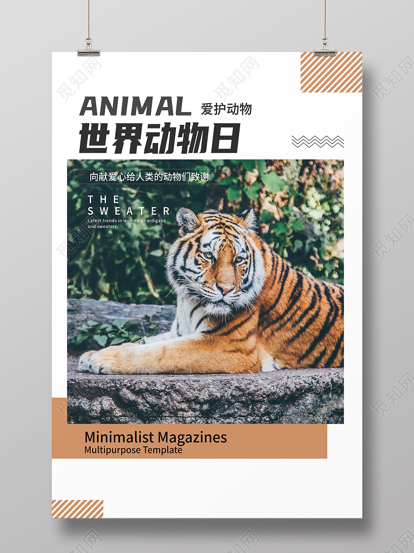 白色简约世界动物日爱护动物世界动物日海报