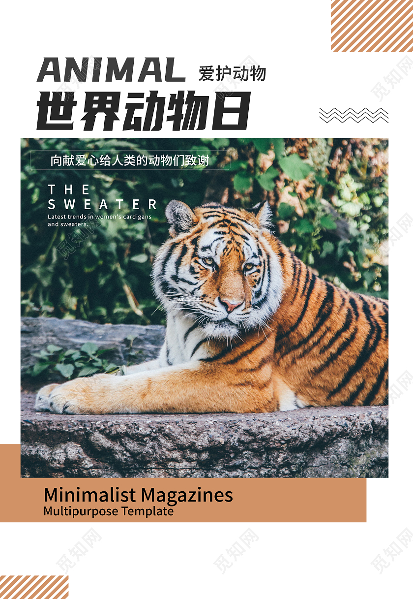 白色简约世界动物日爱护动物世界动物日海报