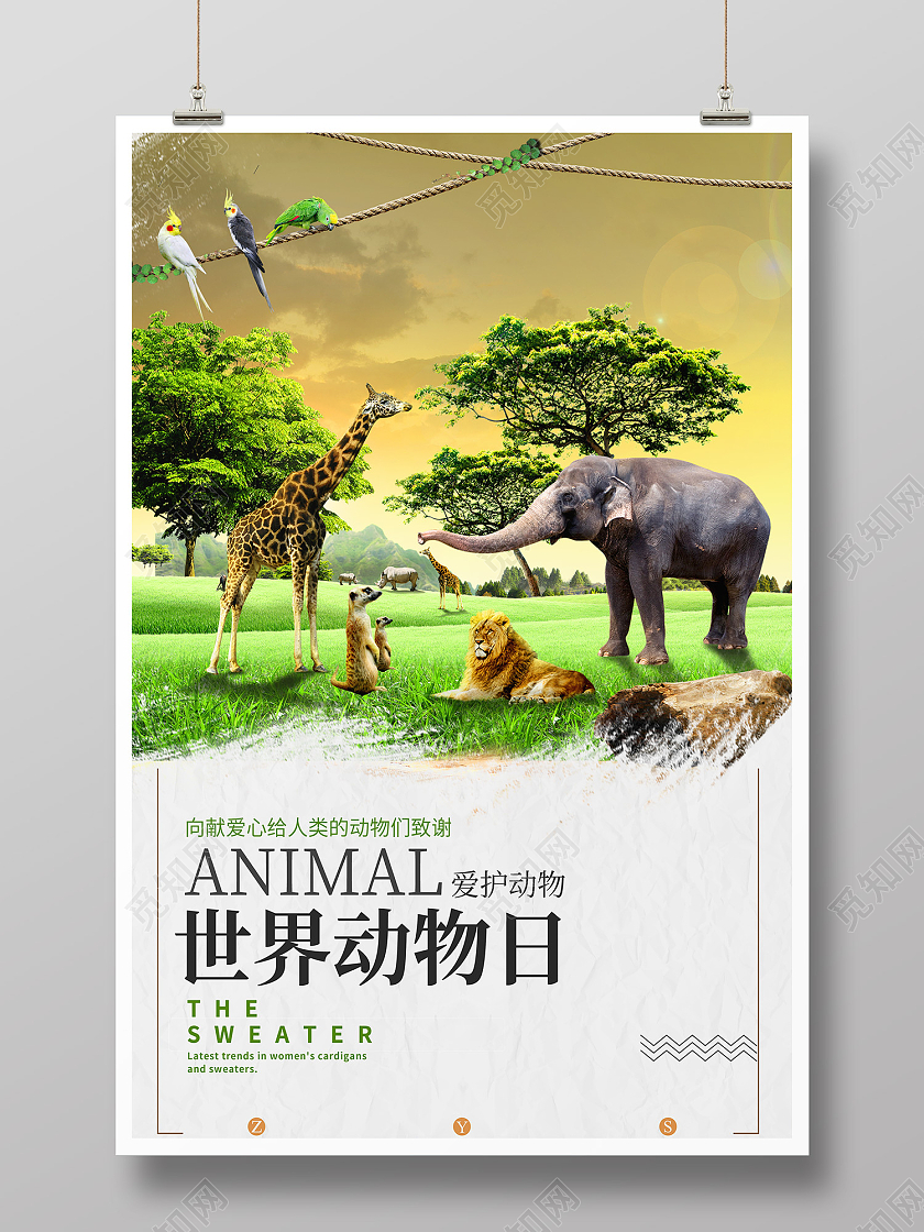 白色简约风世界动物日爱护动物海报世界动物日海报