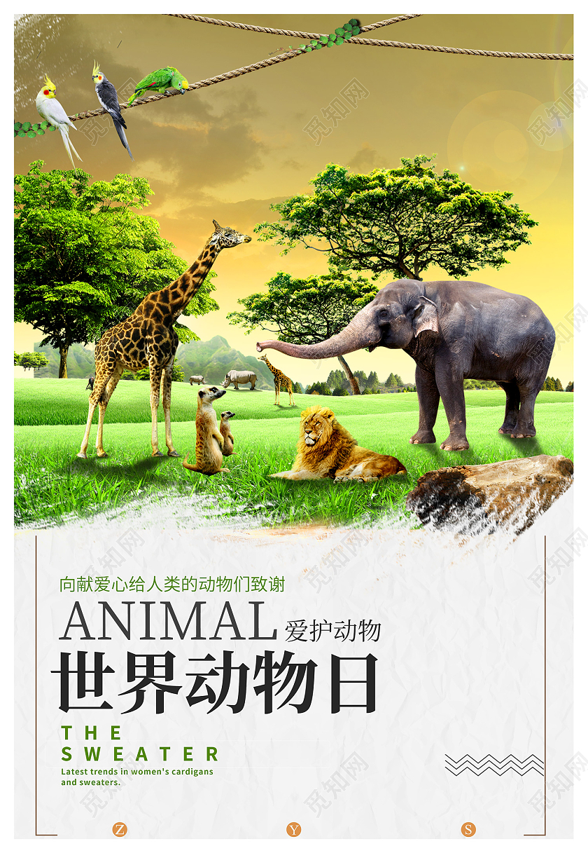 白色简约风世界动物日爱护动物海报世界动物日海报
