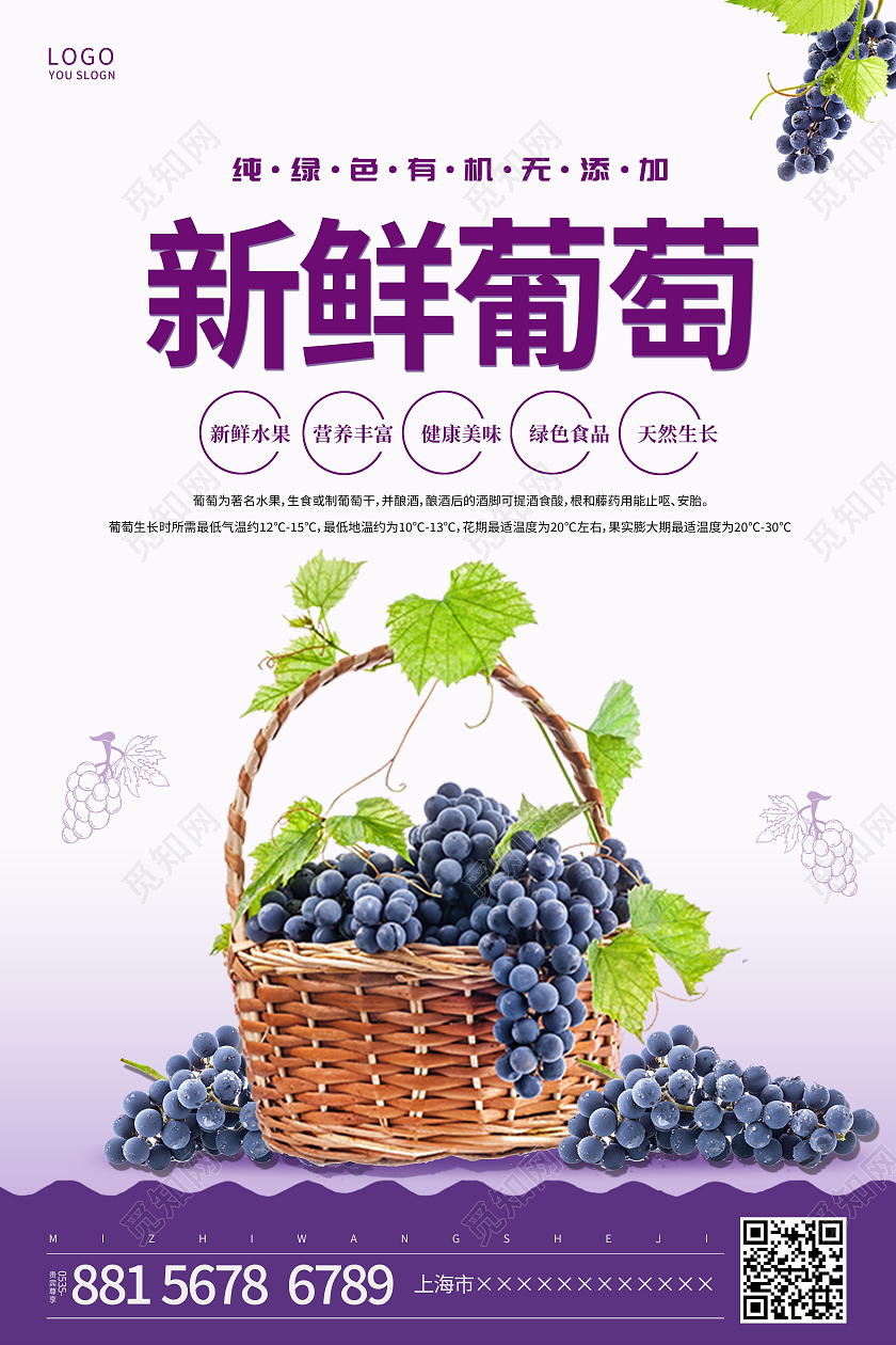 紫色简约水果绿色新鲜葡萄宣传海报葡萄海报