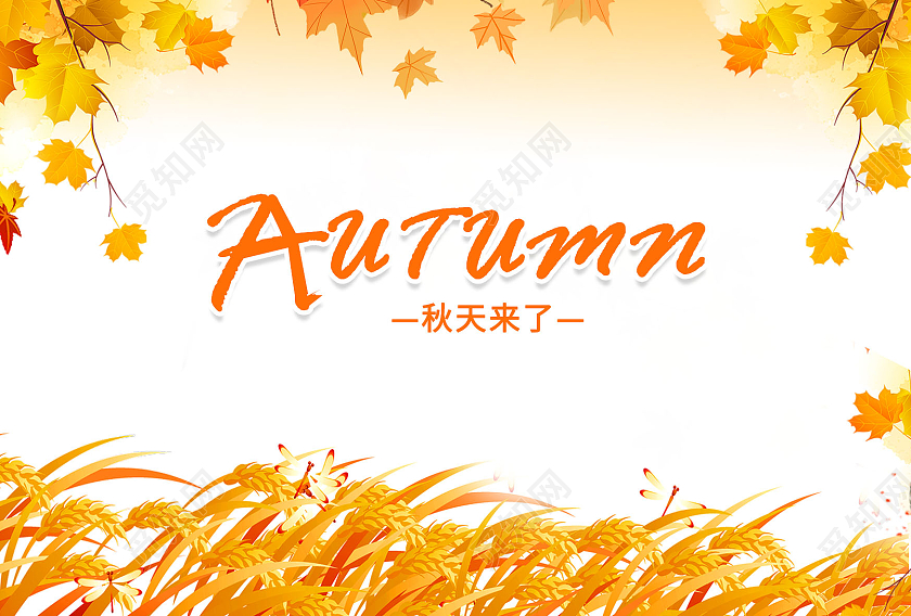 唯美金秋明信片秋季秋风落叶枫叶秋天明信片模板秋季明信片