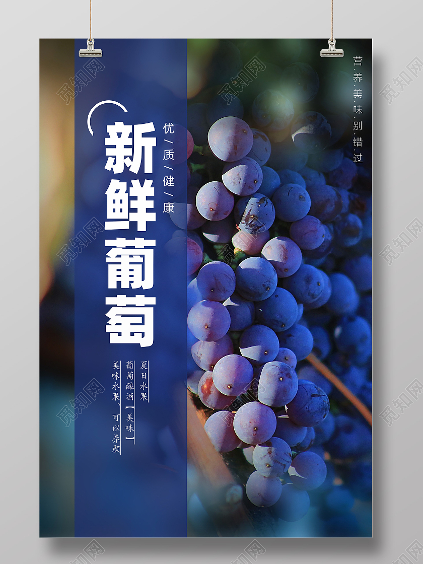 紫色简约大气新鲜葡萄宣传海报葡萄海报