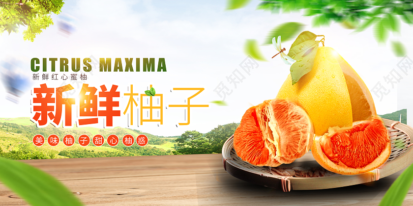 新鲜柚子展板模板水果柚子背景图柚子展板海报
