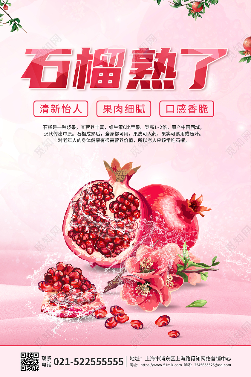 粉红色红石榴软籽手绘石榴海报设计石榴海报展板