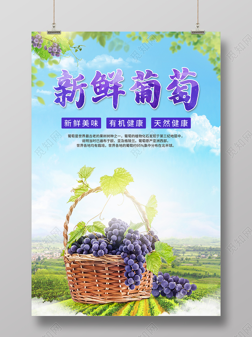 蓝紫色简约水果绿色新鲜葡萄宣传海报葡萄海报