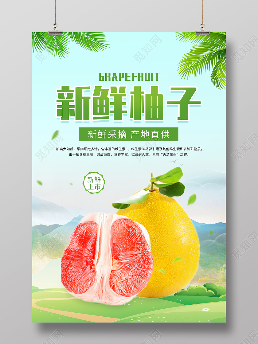绿色写实风格新鲜柚子柚子水果海报柚子海报柚子展板海报