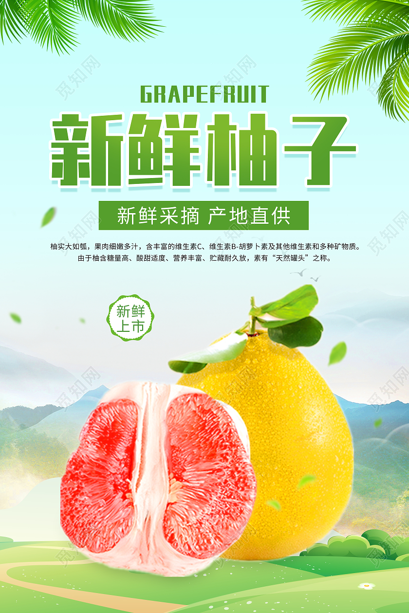 绿色写实风格新鲜柚子柚子水果海报柚子海报柚子展板海报