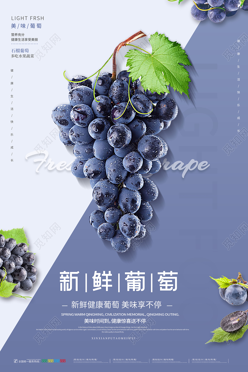 蓝色简约新鲜葡萄葡萄庄园葡萄熟了海报葡萄海报