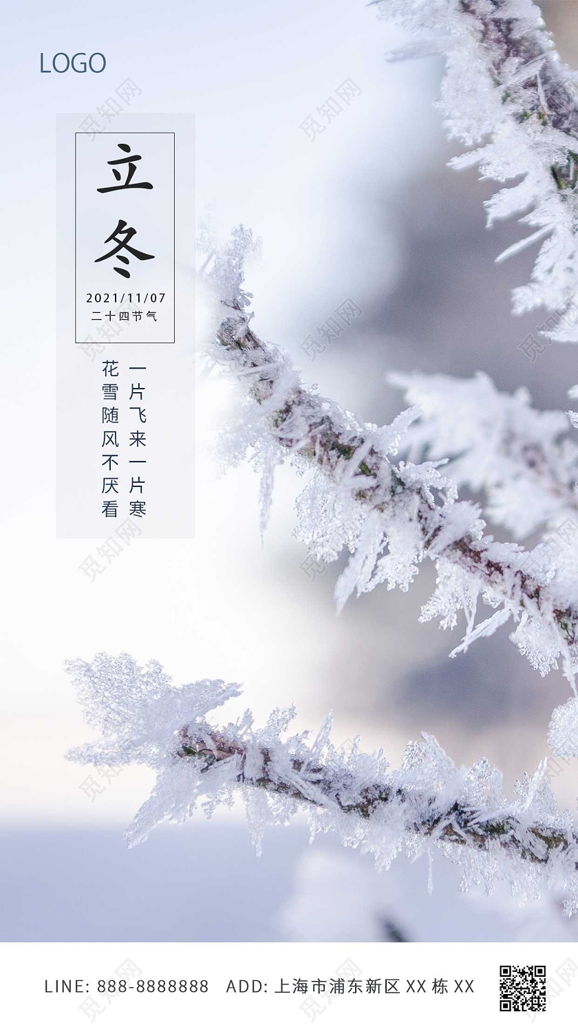 白色简约雪霜树枝立冬ui手机海报传统节气立冬海报