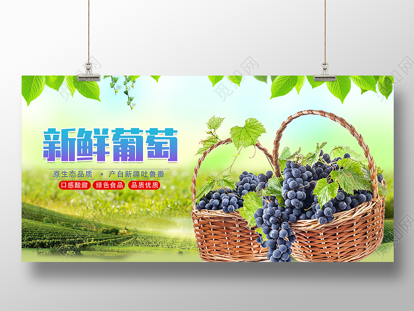 绿色简约时尚大气葡萄熟了活动宣传展板葡萄海报