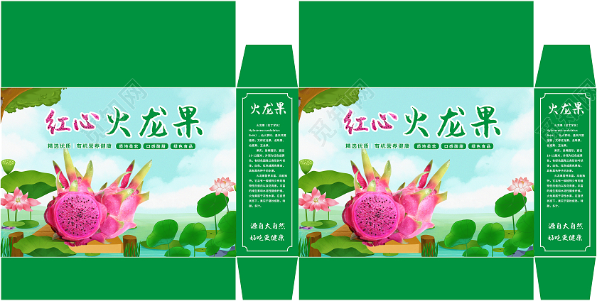 绿色插画荷塘风景水果火龙果礼盒包装