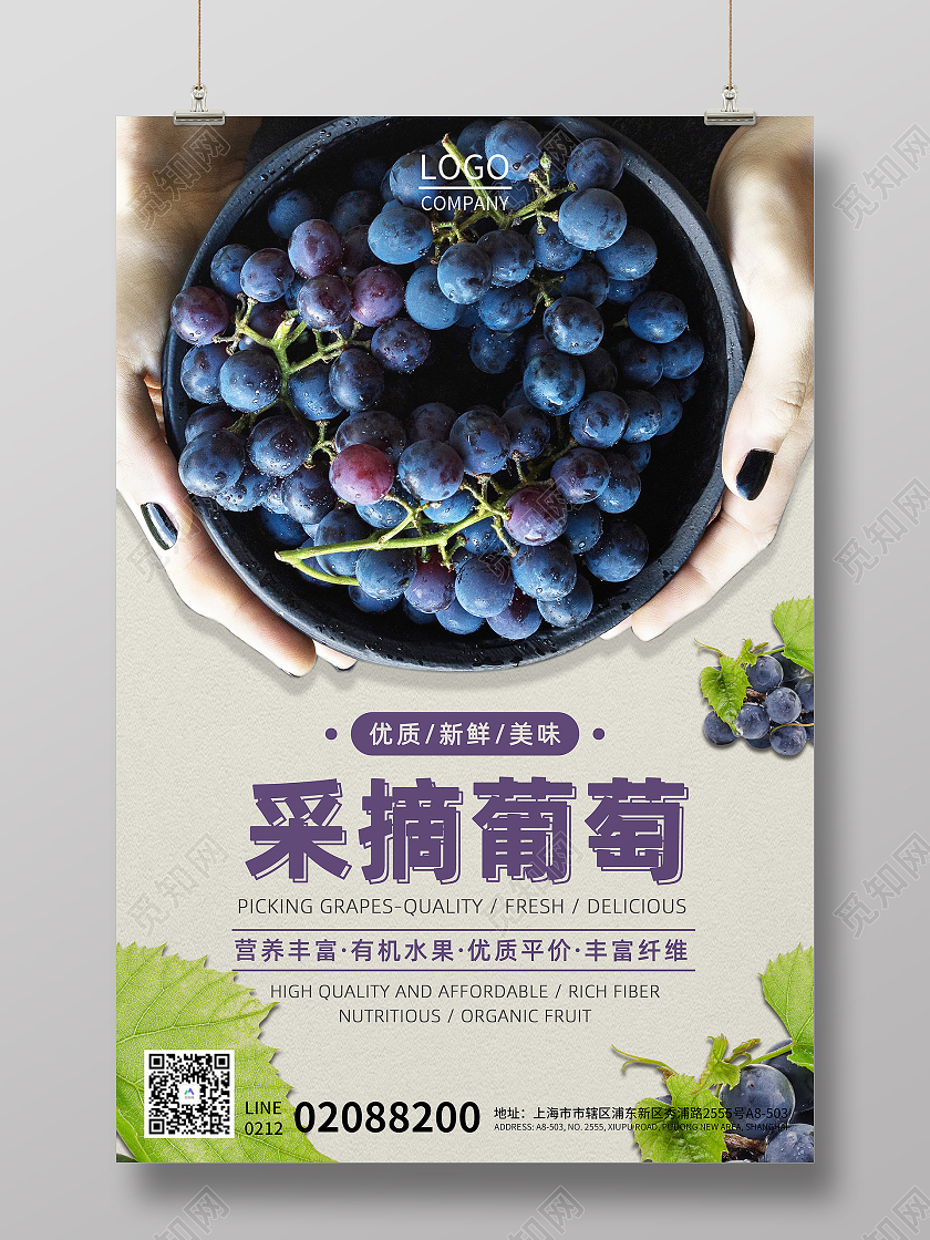 2021年紫色简约风葡萄采摘海报葡萄海报