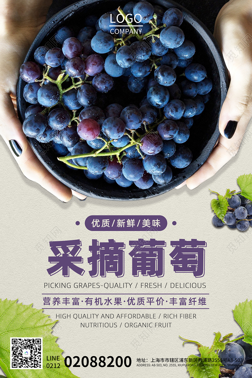 2021年紫色简约风葡萄采摘海报葡萄海报