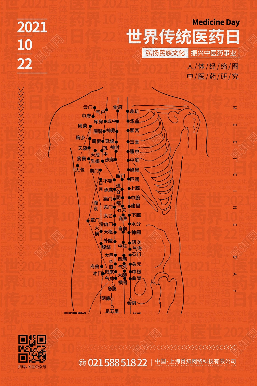 橙色时尚大气创意图形世界传统医药日海报