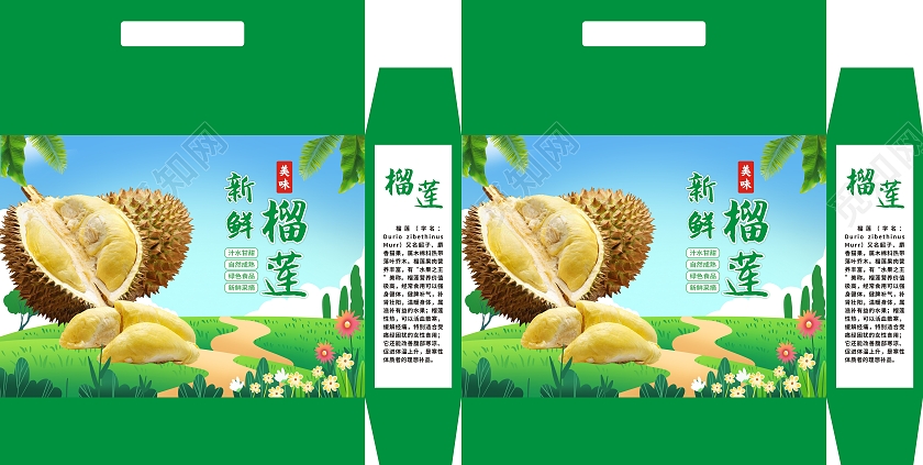蓝天草地插画简约美味新鲜榴莲榴莲包装榴莲礼盒