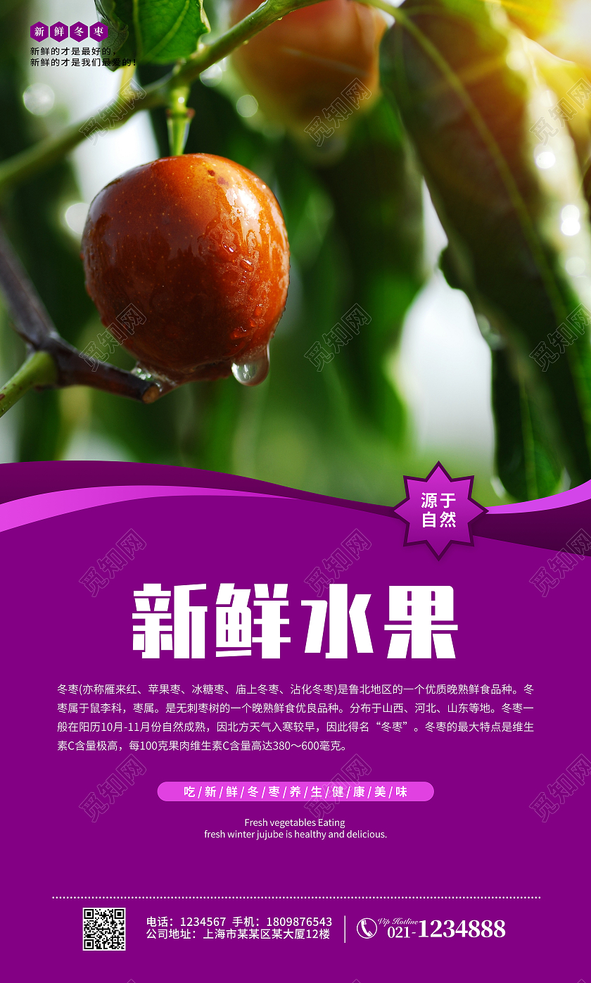 紫色简约大气版新鲜美味冬枣套图