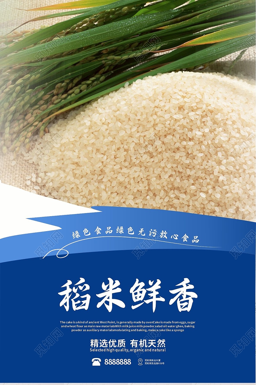 蓝色精致风格素雅写实实物数据大米套图