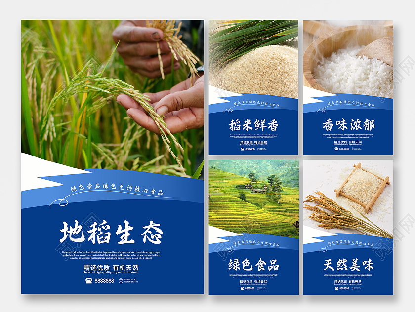 蓝色精致风格素雅写实实物数据大米套图