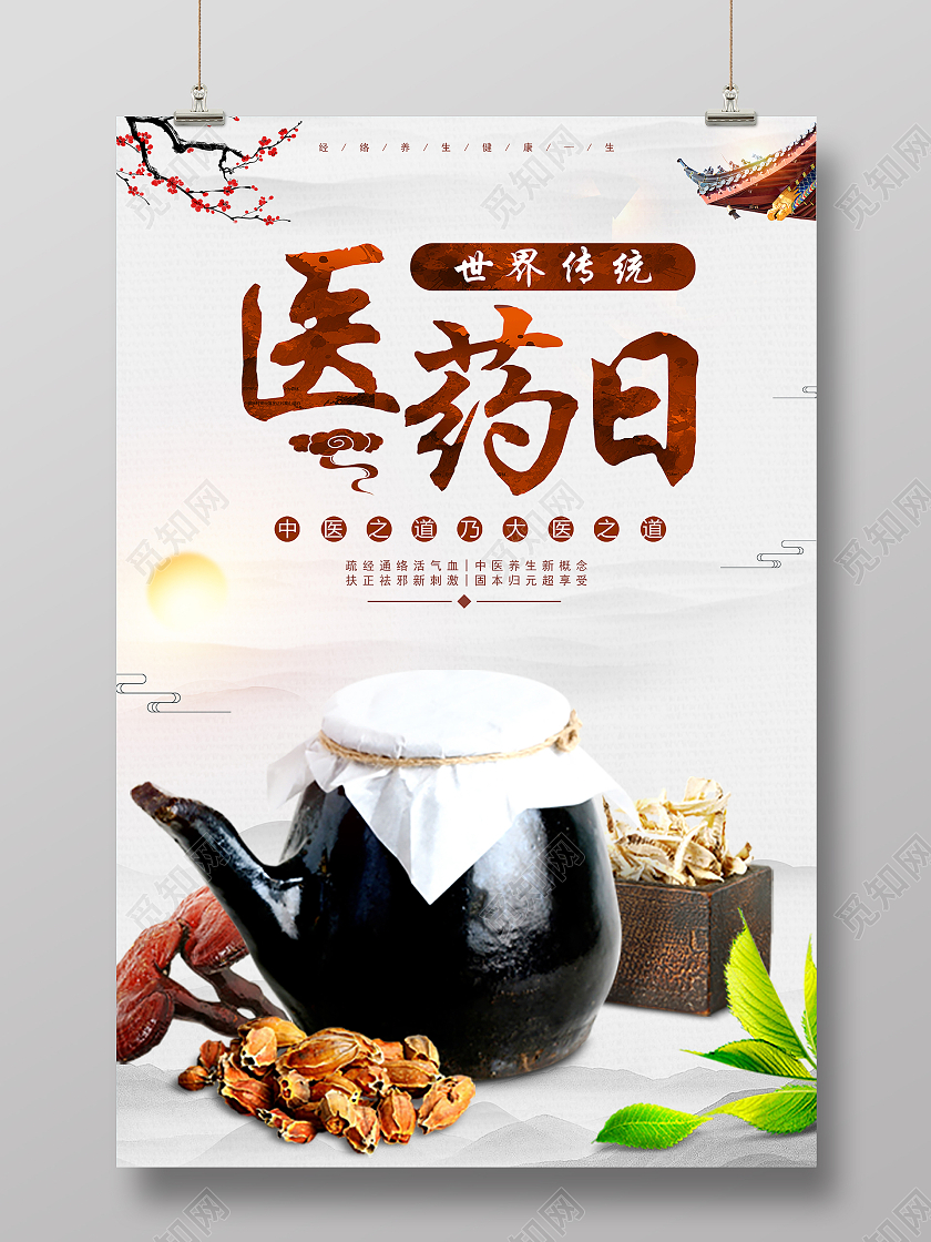 简约大方世界传统医药日宣传海报