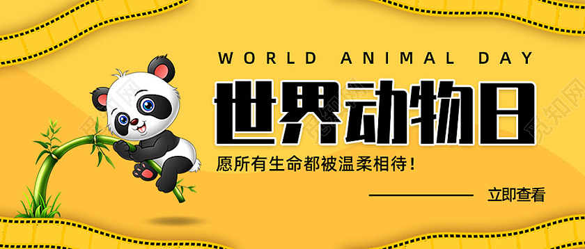 黄色卡通手绘世界动物日微信公众号封面首图头图