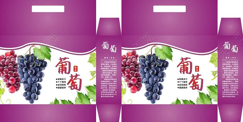 紫色渐变色简约风格葡萄水果葡萄包装
