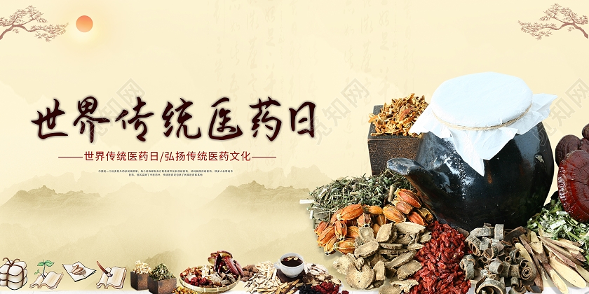 古风棕色灰色传统世界传统医药日宣传海报